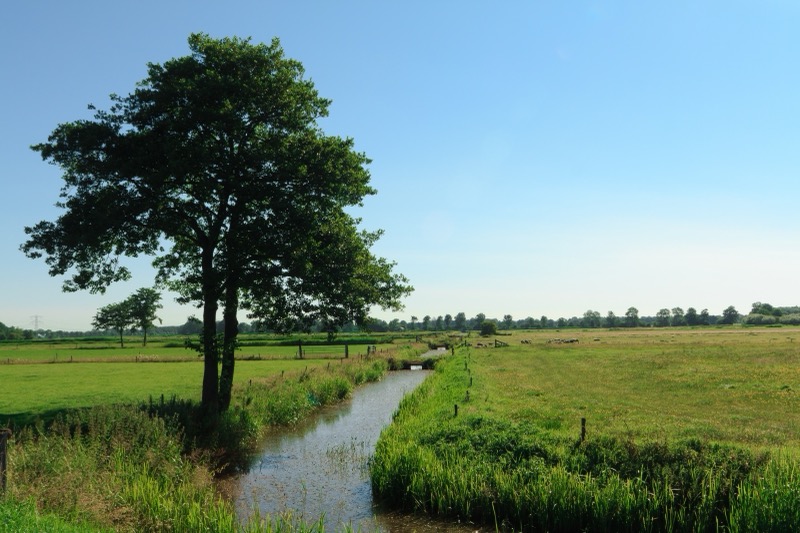 Natuur en milieu beleid