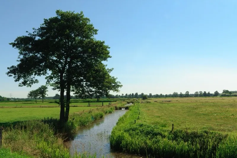 Natuur en milieu beleid