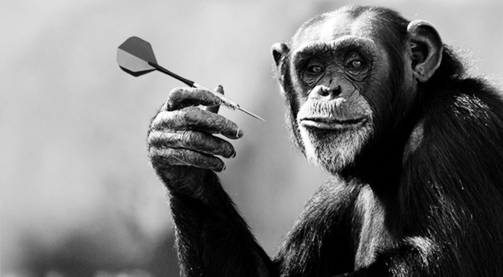 Dart Throwing Chimp